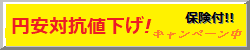 保険付キャンペーン